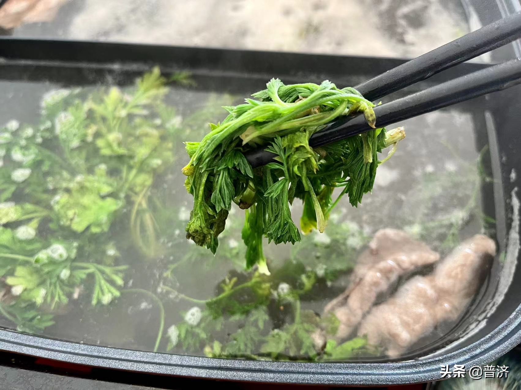 白蒿是茵陈吗（这个野菜是有着不同的叫法）