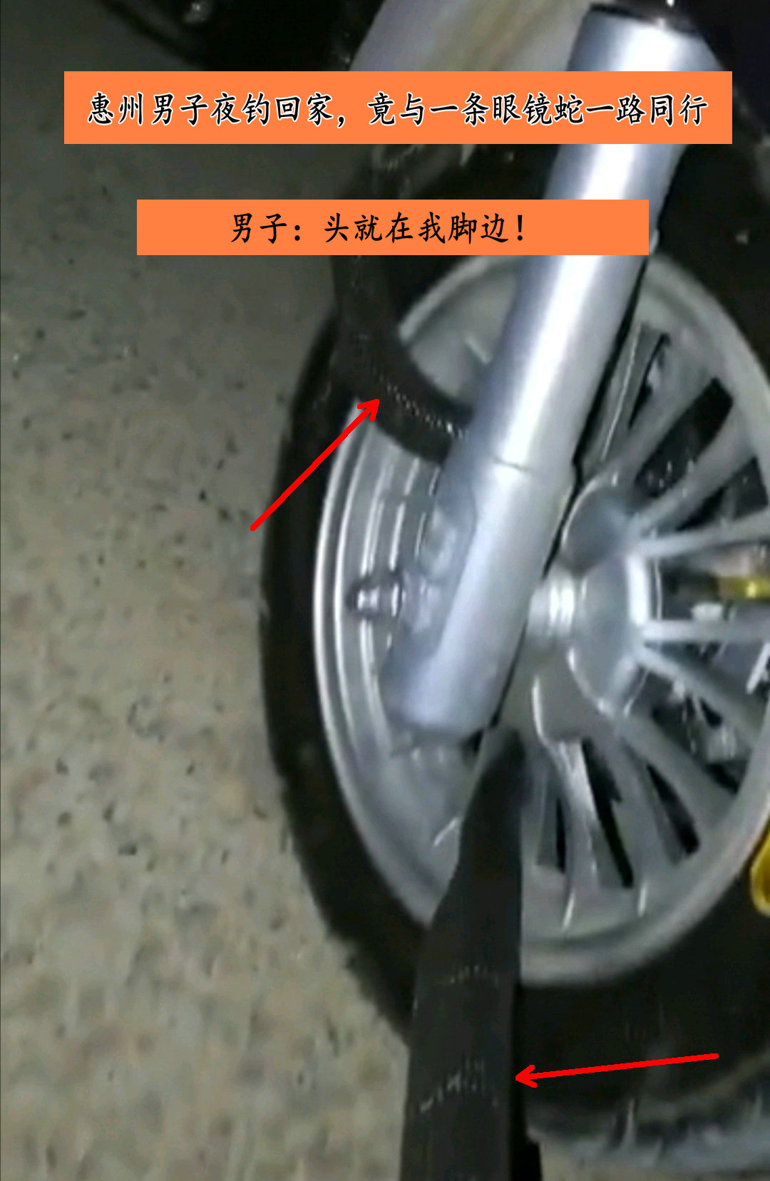 ���ݵ���ҹ���ؼң�����һ���۾���һ·ͬ�У����ѣ�ͷ�����ҽű�