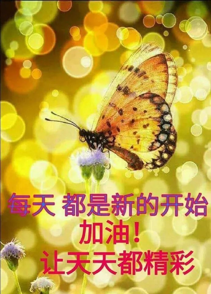周三更新早上好表情包问候，精神好，心情好，事事顺心如意图片