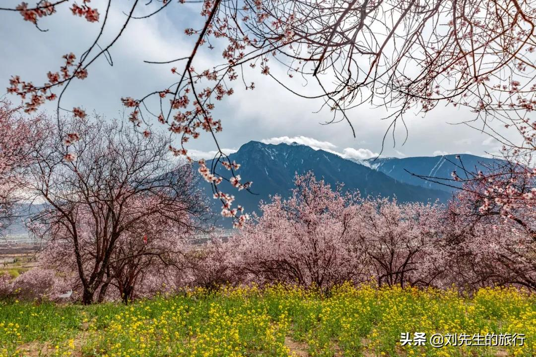 2022进藏攻略全新(去西藏旅游到底需要准备些什么)(图7) 2022进藏攻略,送给还没去过西藏的你