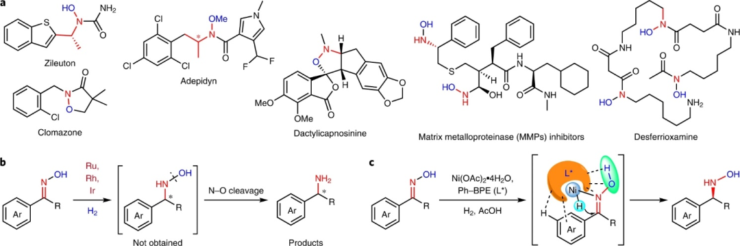 Ni催化，张万斌团队最新Nature Chemistry