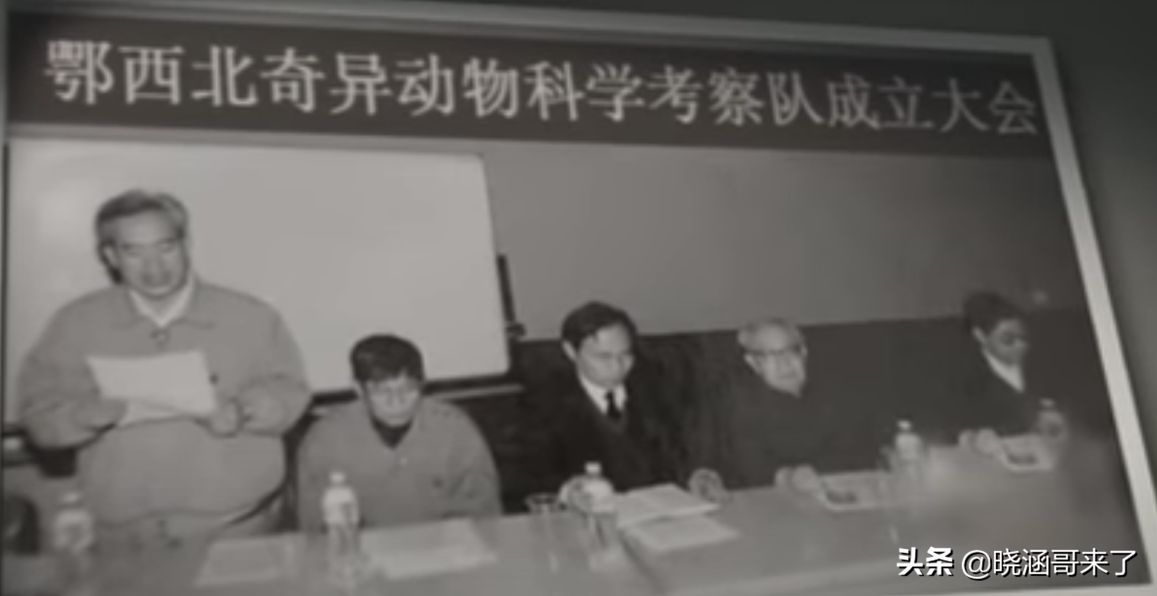 中国野人之谜(神农架野人之谜，民间千人目击，官方出动调查队大规模搜索)