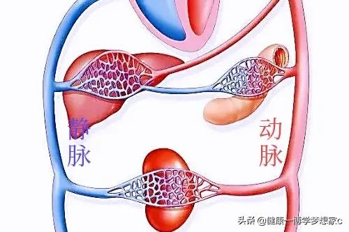低压高是什么原因，怎么解决？