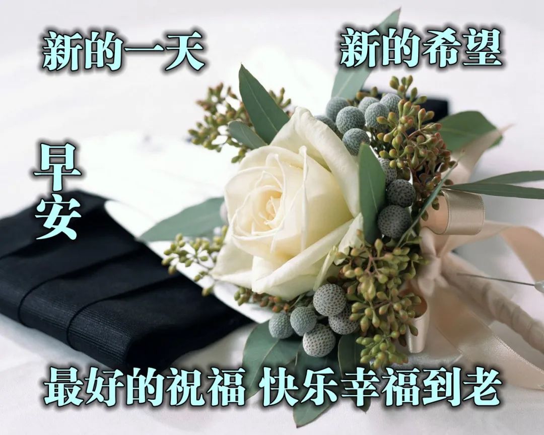 唯美早上好经典说说 优美的早上好微信问候语 健康无限、平安是福图片