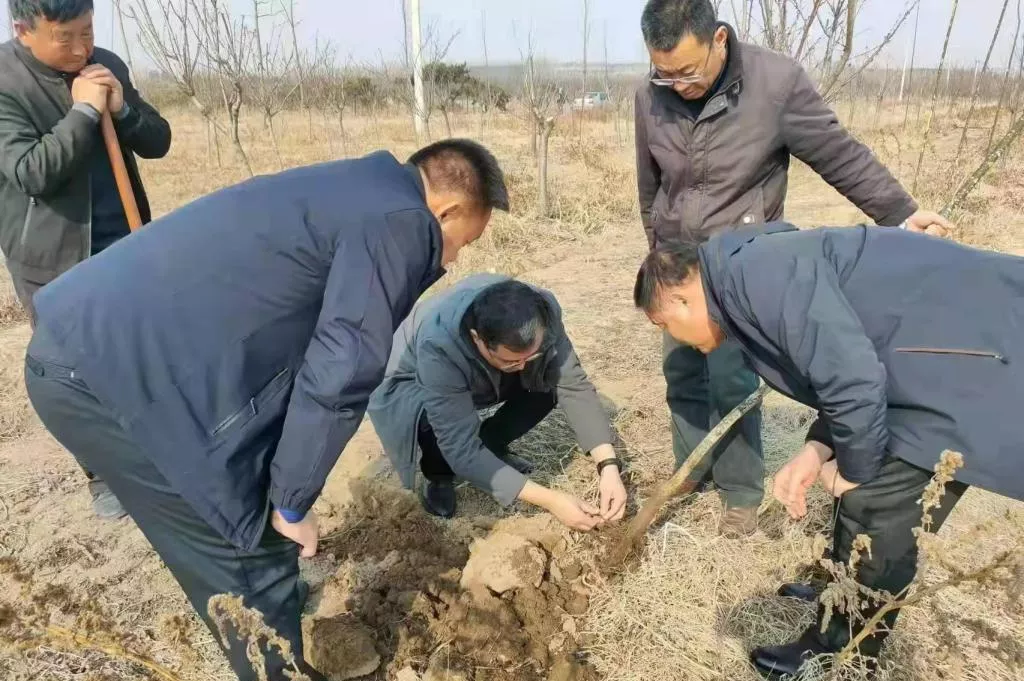 潍坊职业学院喜讯