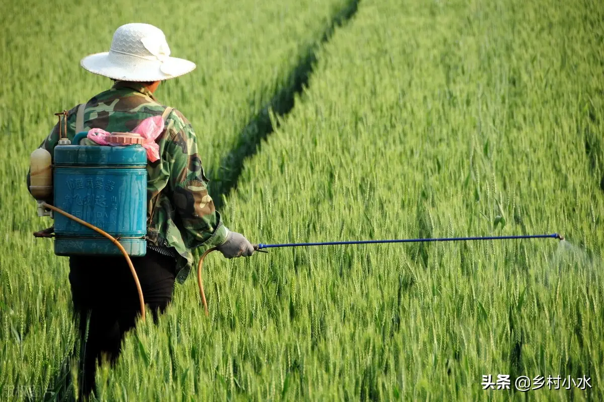 草木灰的主要成分是什么（草木灰的作用及使用方法）