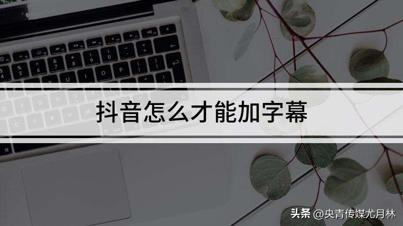 怎么把短视频插入word文档(怎样为短视频作品添加字幕？)