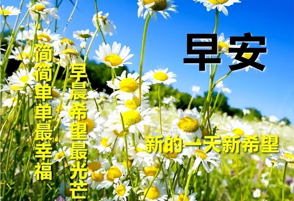 新的一天早上好图片祝福带字 暖心早安问候语 愿朋友幸福快乐永驻图片