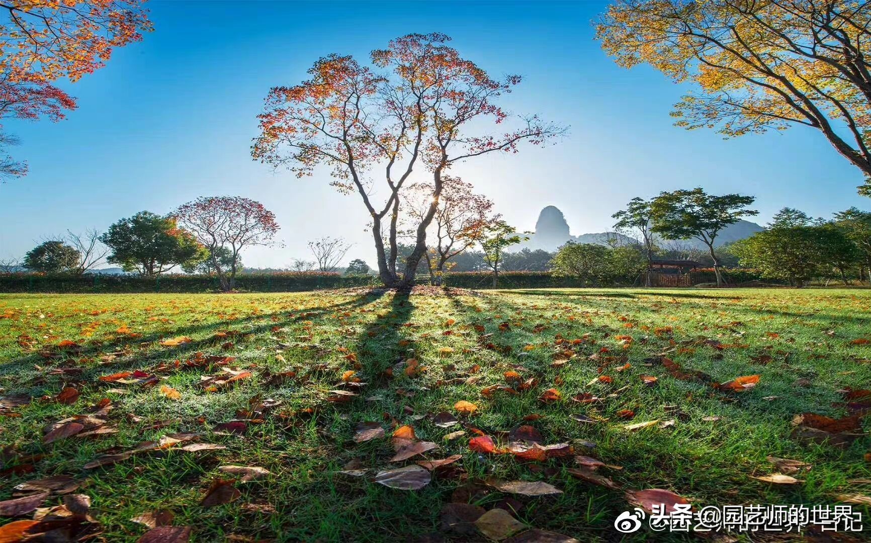 美好生活环境,从草坪开始