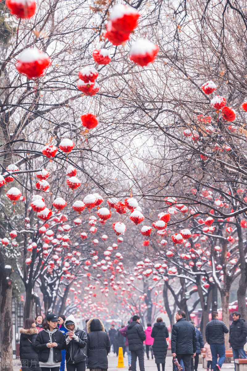 雪落人间，是一场梦的翩跹，风吹乱，洁白的诗行