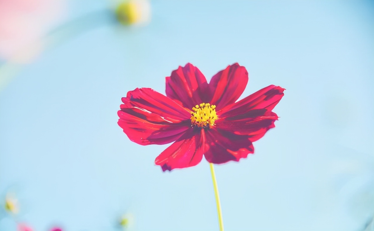 2021很励志的心灵鸡汤,振奋人心,发朋友圈超赞