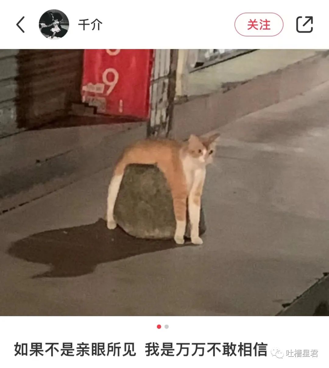 “白敬亭被曝儿女双全？？”粉丝笑疯：老公你快说句话啊