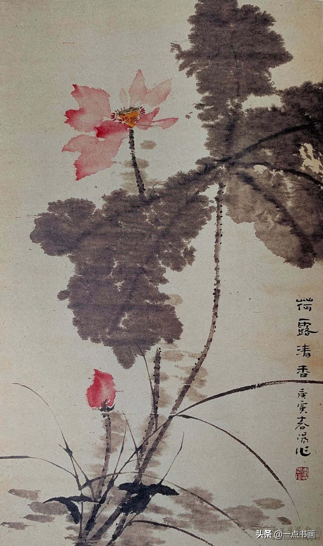 霍春阳笔下的荷花,含道映物,清凉世界