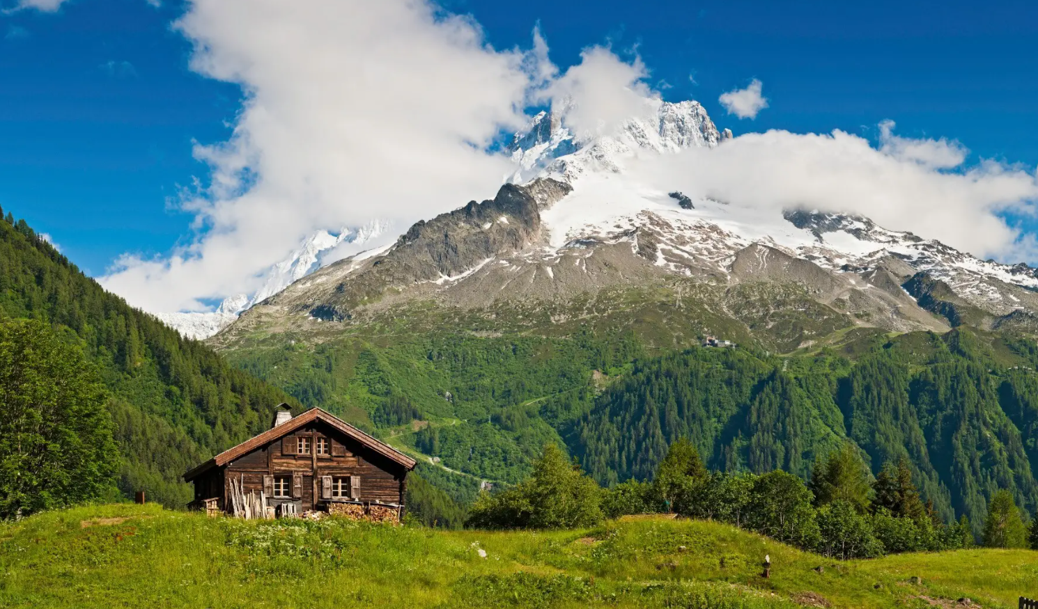地球变得更绿了？卫星发现阿尔卑斯山在变绿，科学家对此担心不已