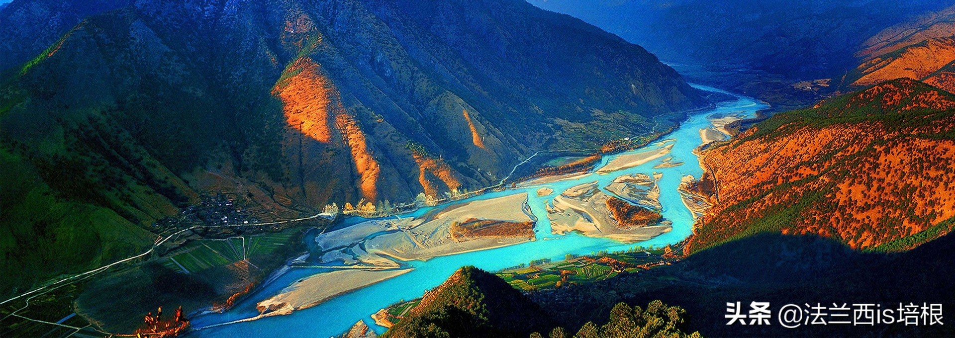 水中活鱼图片(刷新记录) - 赤虎壹号