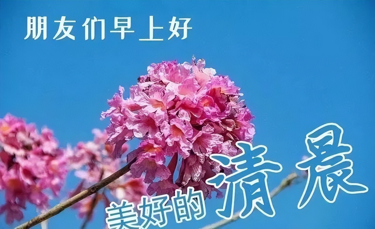 夏天问候早上好问候祝福短信图片 每天都是快乐地开始图片