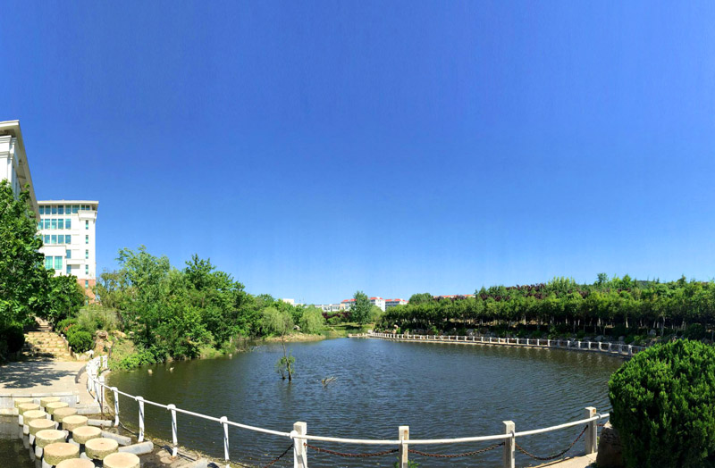 山东外国语职业技术大学2022年高层次高技能人才招聘公告