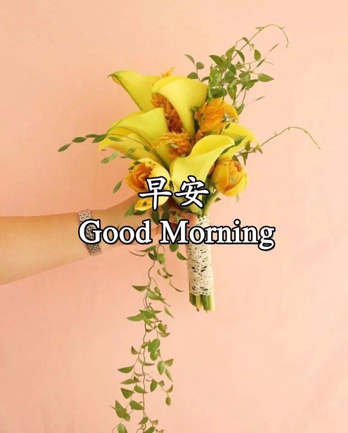 秋天漂亮的早上好表情包，温馨动态祝福图片 乐观是失意后的坦然图片