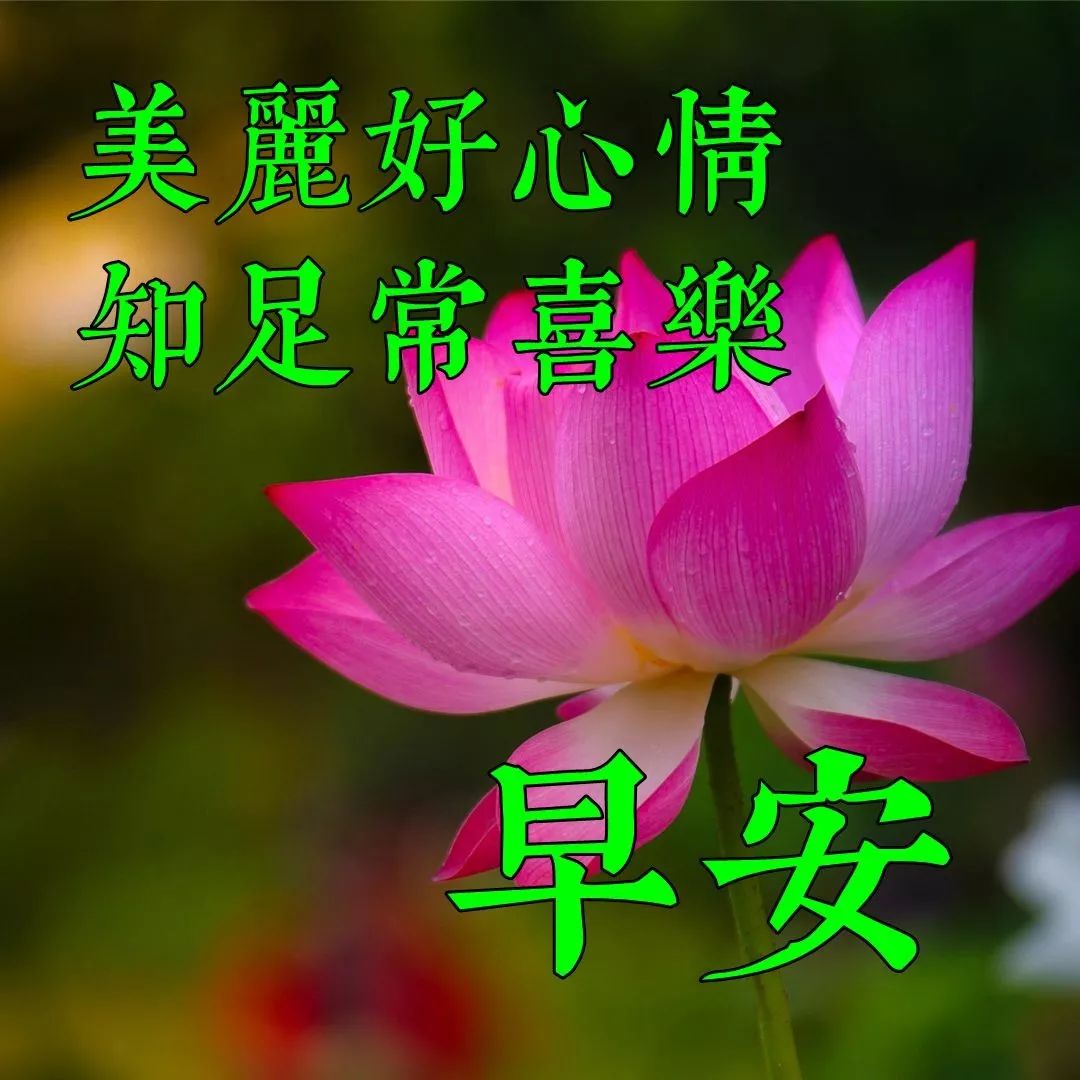 周三早上好朋友 清早大家早上好漂亮动态表情图片 祝福你快乐吉祥图片