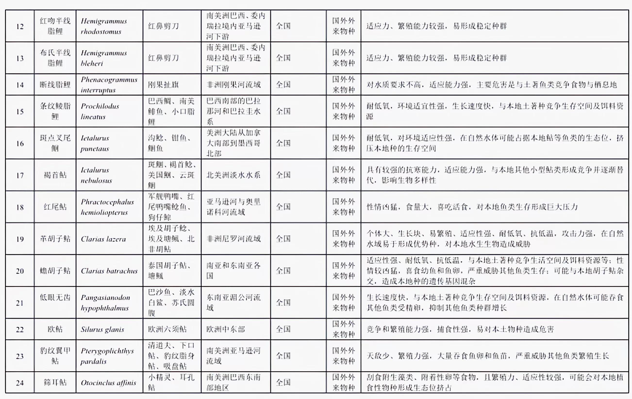 铁背鱼长什么样，95种禁放水生物图片介绍