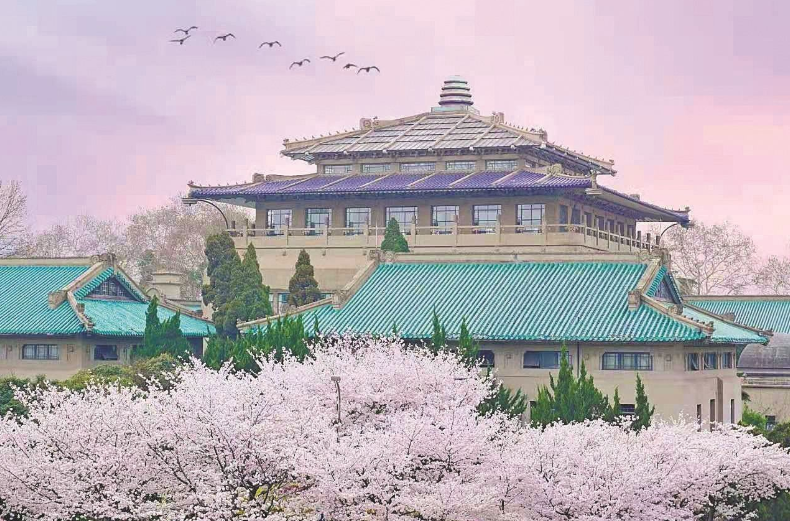 武汉所有大学排名（湖北省大学排名出炉）