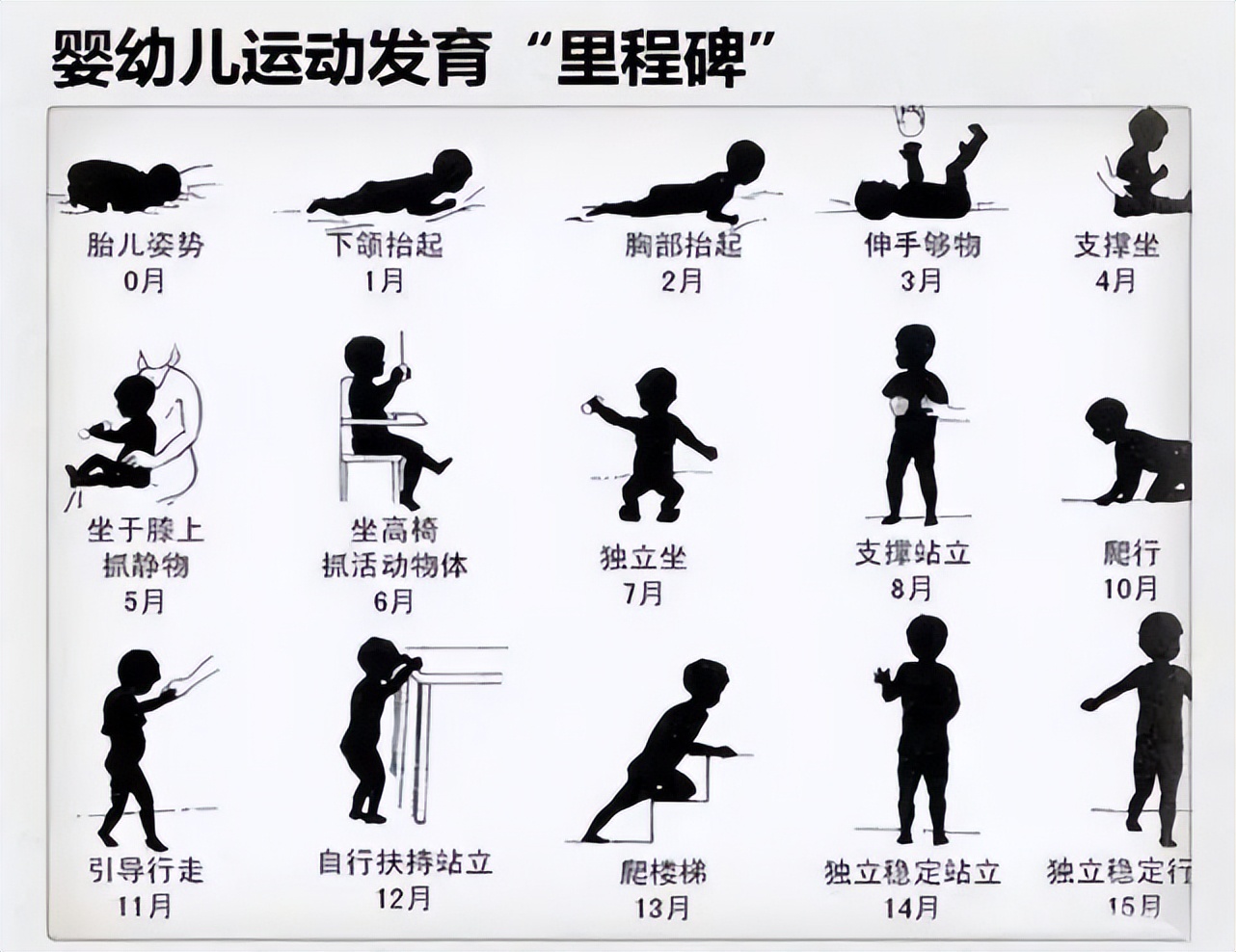 清晰的什么是发育的照片