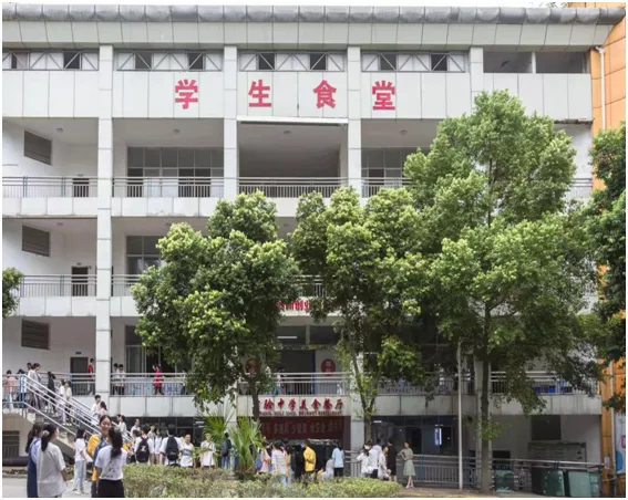 泸州市实验中学搬迁:长江流韵换新颜(图6)