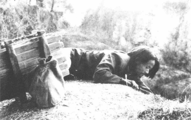 何家庆：“乞丐”般的教授，被绑架吃猪食，却让数万人过上好日子