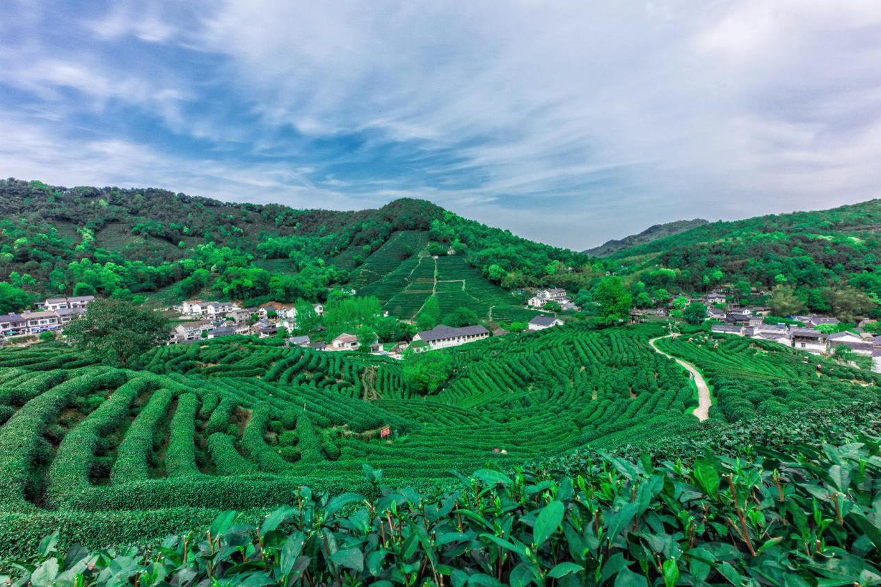 十大浙皖地区入门级徒步地，周末就能打卡，踏遍群山