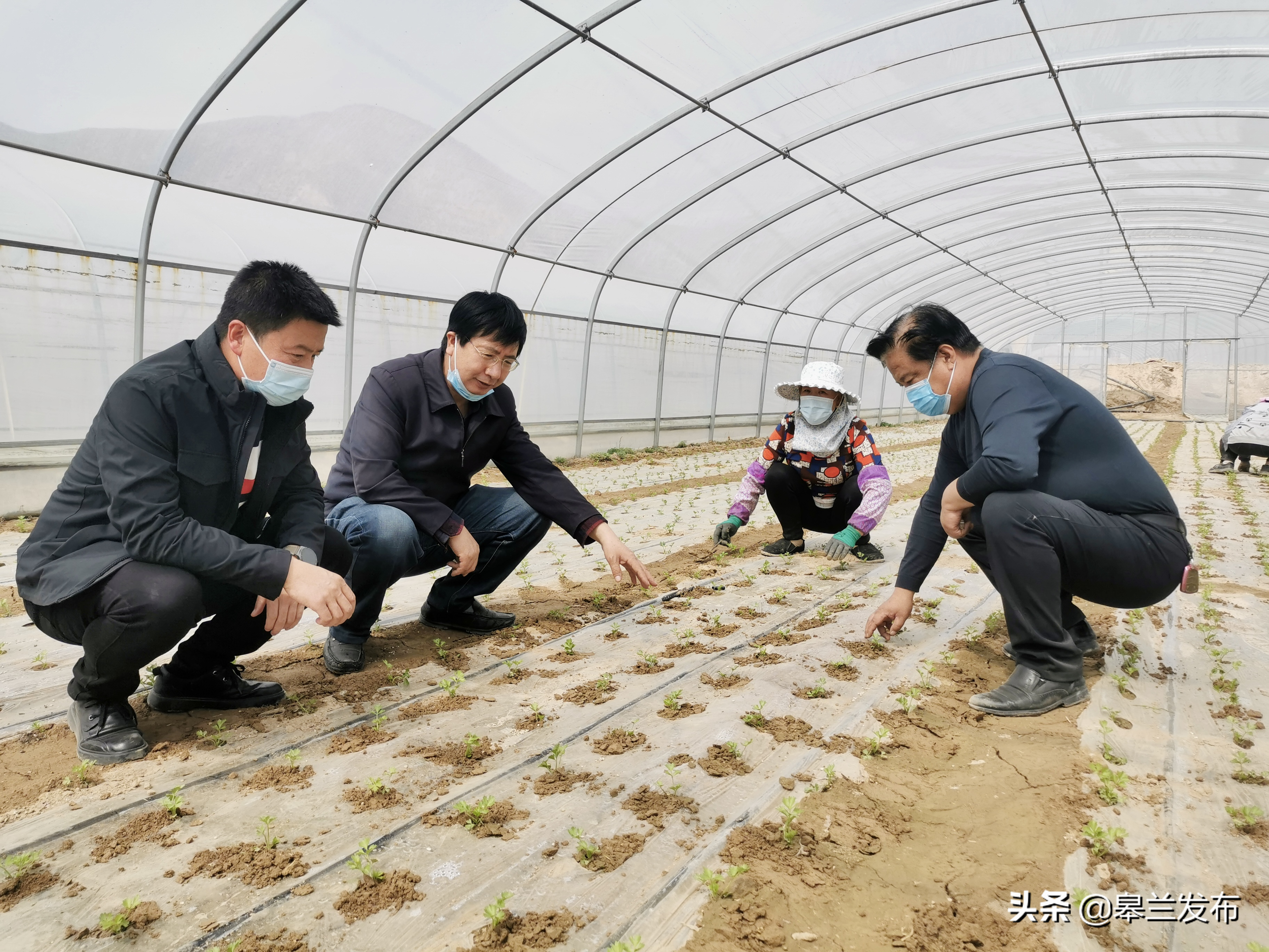 �������۽���ʳ��ȫ����չ��׼�ල