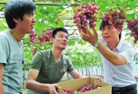 听起来像“公务员”的岗位，实际上是合同工，大学生避免入坑