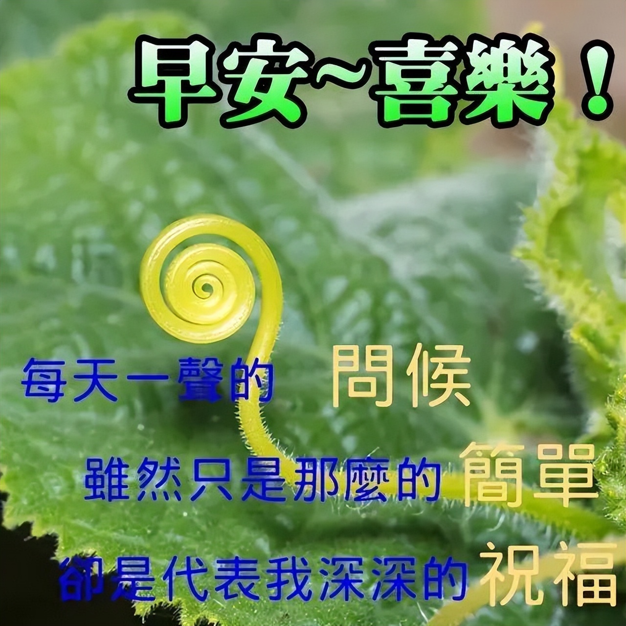 早上好问候祝福语录动画表情图片 清晨曙光初现，幸福就在你身边图片