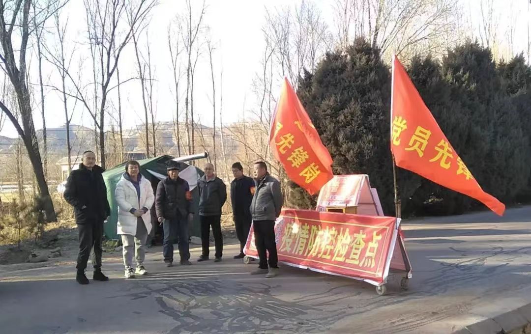 党旗飘扬丨青春战“疫”显担当——太原美术馆（太原画院）青年党员在行动