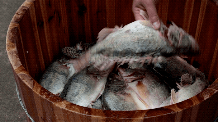 臭桂魚的做法,正宗臭桂魚的烹飪方法