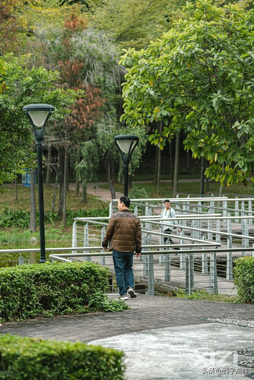 惠州西子湖畔招聘官网（惠州这个公园位于市中心）