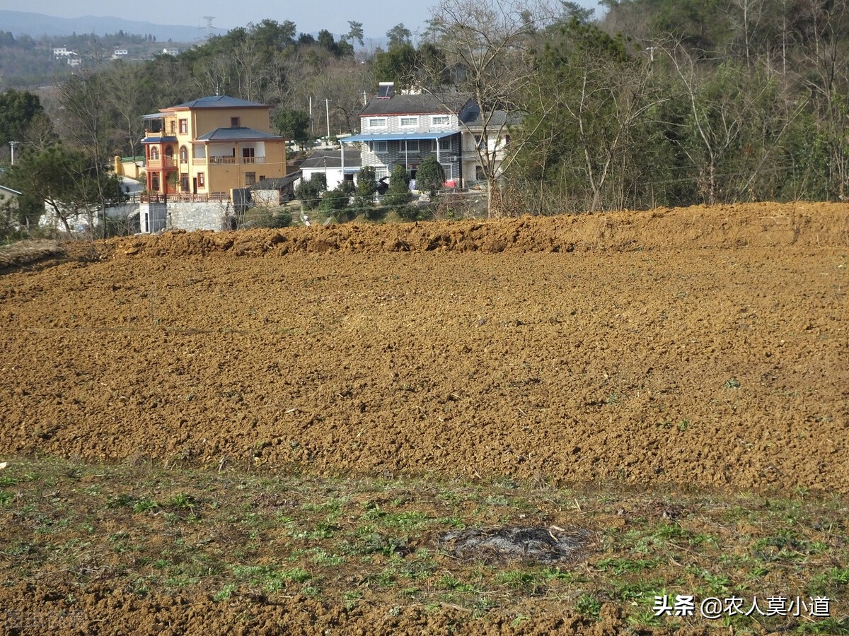 如何在农村里面盖房子，如何申请宅基地？