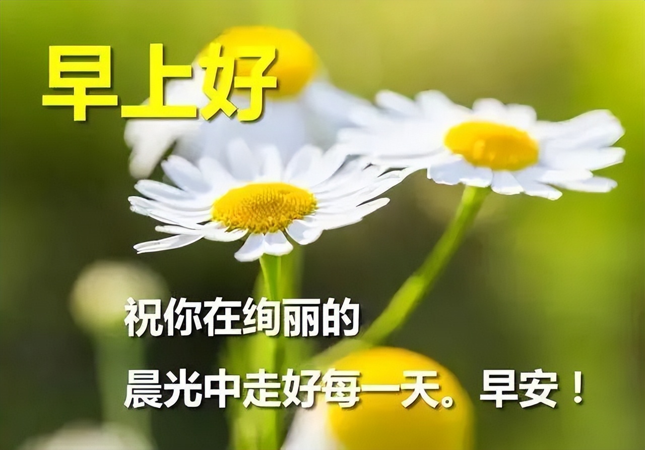 早上好漂亮动态表情图片大全 晨起一声早，事事皆美好图片