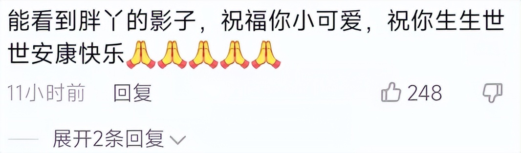 杨树林老婆胖丫被曝生二胎，抱婴儿母爱满满，出狱后靠卖水果维生