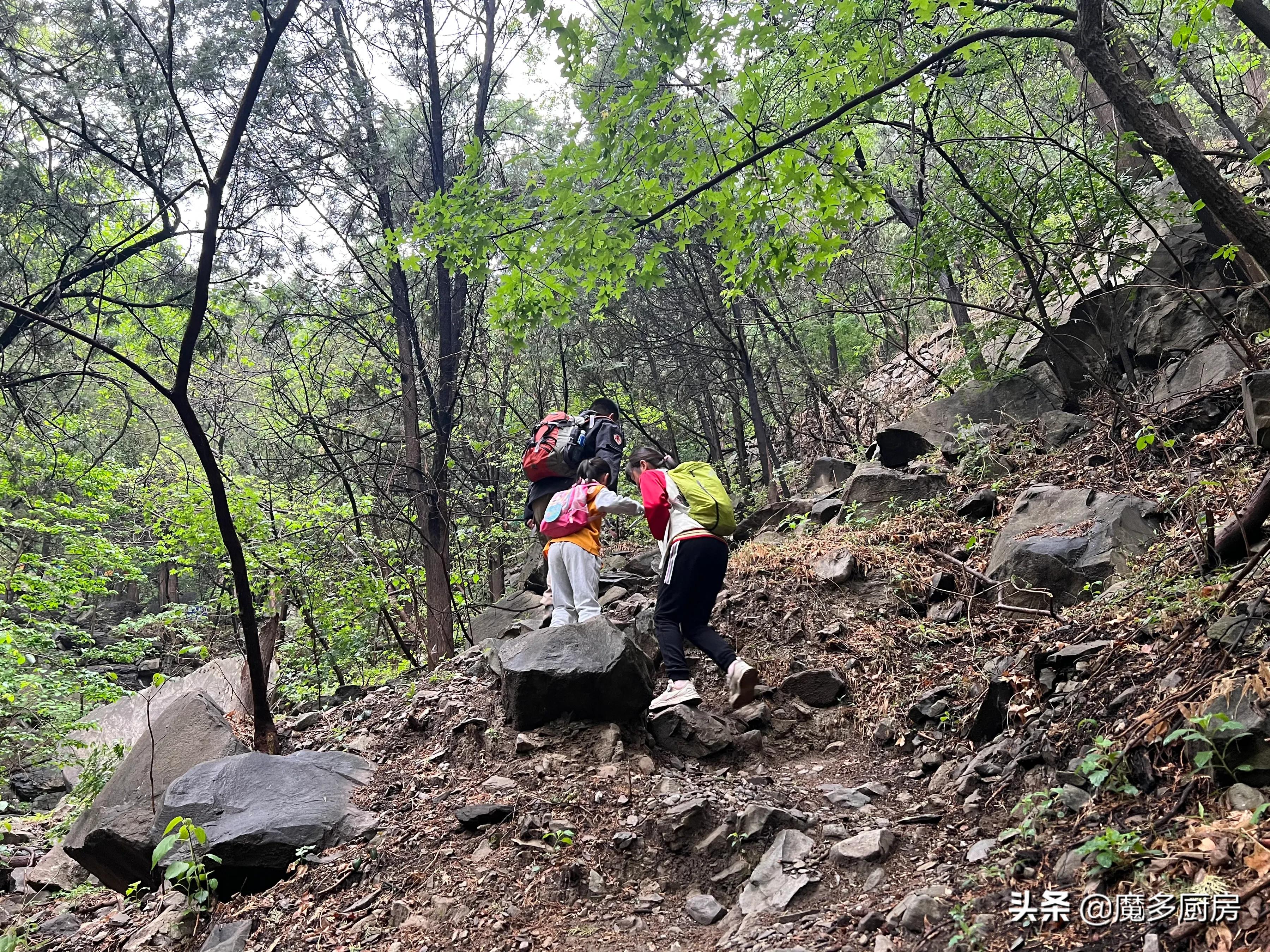 北京香山植物园户外记录，带孩子们雨中山野徒步，感受自然乐趣