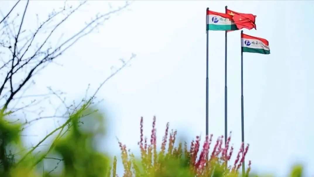 征集 | 就现在，发给我一张鹏飞春日图