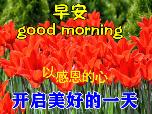 漂亮的早上好图片 早上好动态图片祝福语 感恩的心开启美好的一天图片