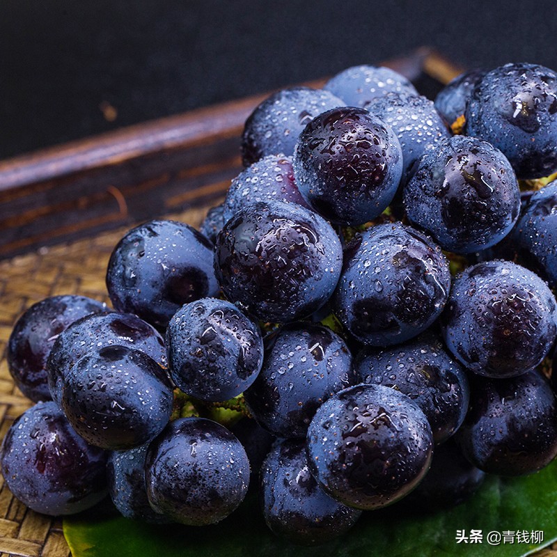 巨峰葡萄产地（天水精品巨峰葡萄花果管理关键技术）