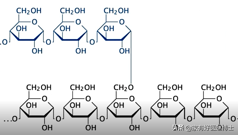 空腹血糖高，问题可能出在哪里？降糖药物，有哪些可以用？