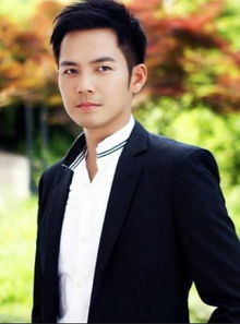 中国内地 奶油中年男星 钟汉良