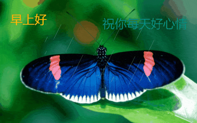星期六早上好祝福语图片 温馨周六早上好暖心祝福短信 周六快乐加倍图片
