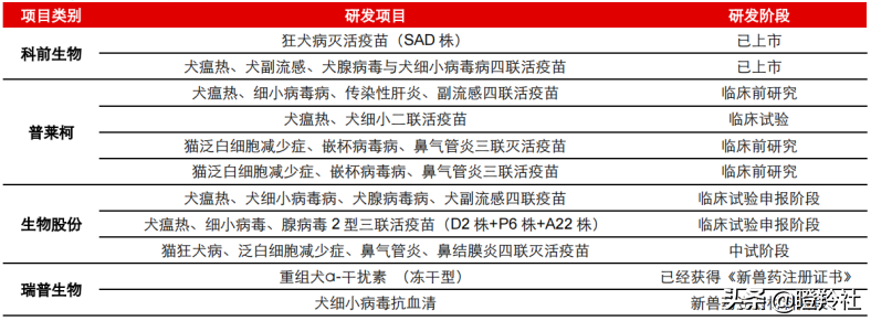 价格飞涨，一针难求！被垄断的百亿蓝海赛道，国产厂商带头突围？