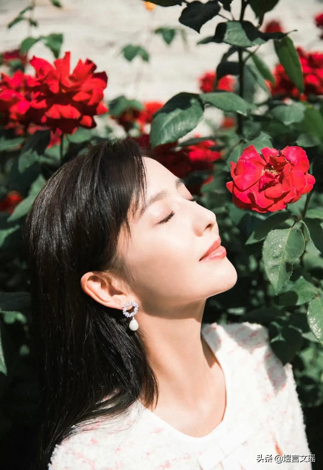 一日一星之佟丽娅