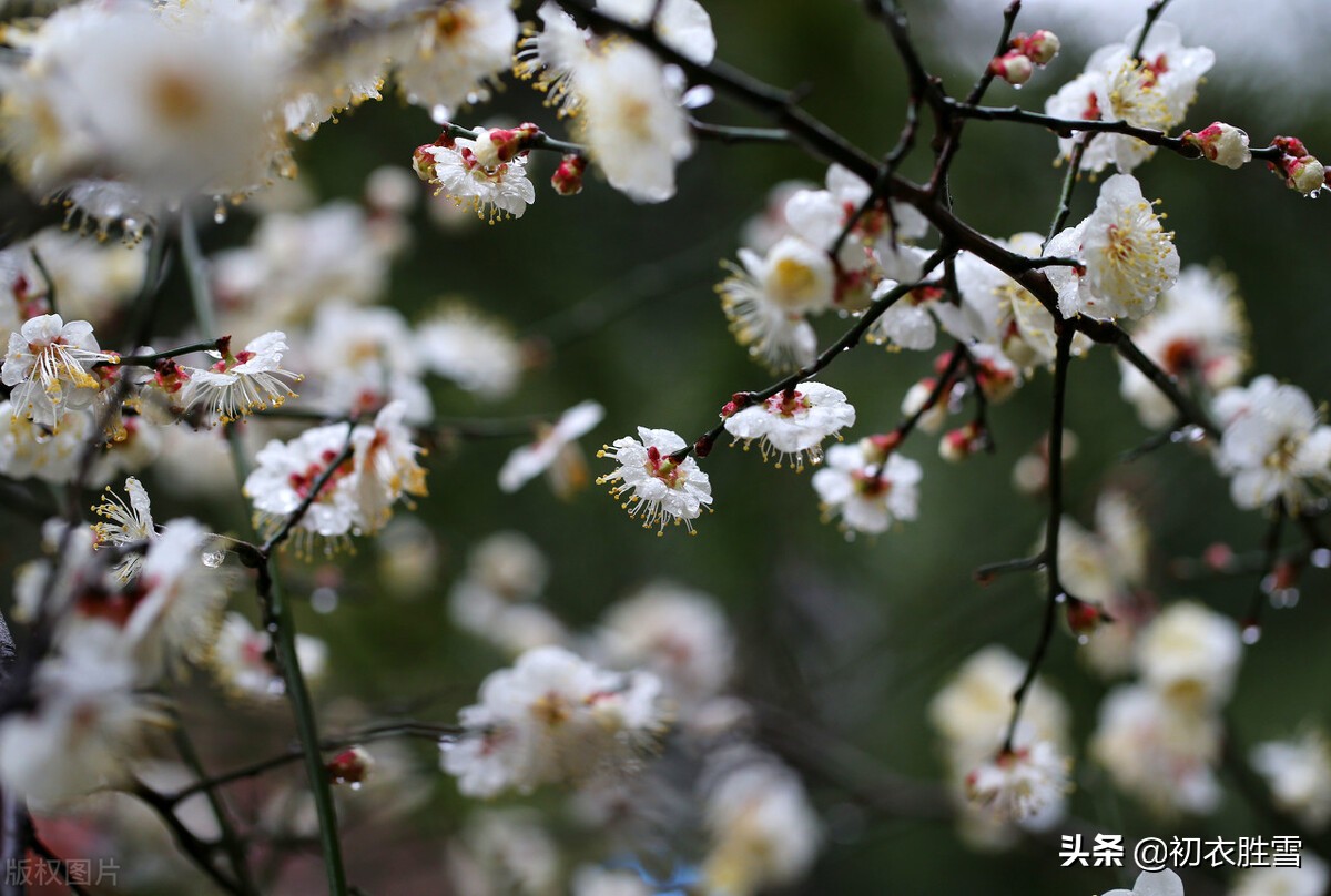 古诗平安信五首：平安唯两字，珍重值千金