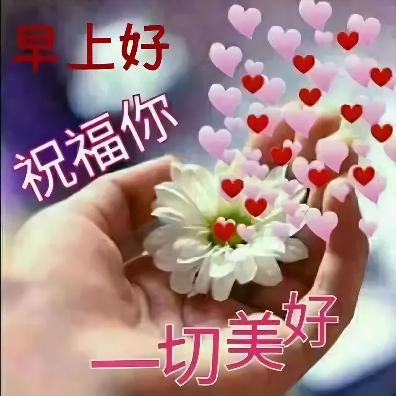 最新早上好祝福语，感恩世界、感恩有你 遥寄一份浓浓的祝福图片