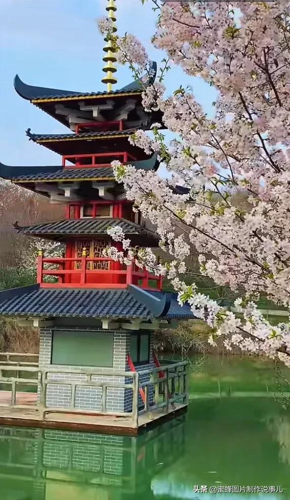 春暖花开，群芳争艳，一束鲜花，一份祝福